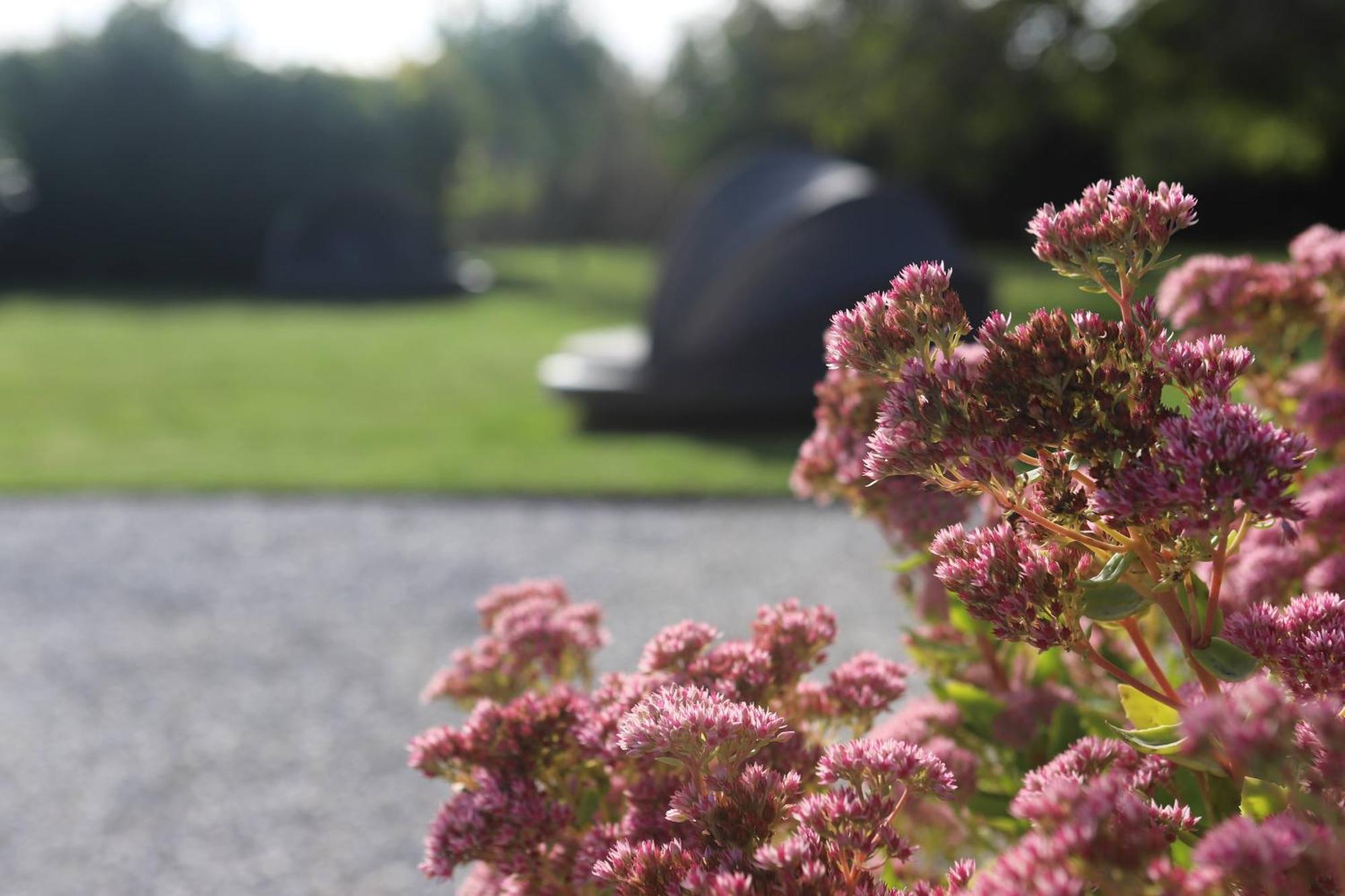 The Secret Garden - Keszthely Bed & Breakfast Exterior photo